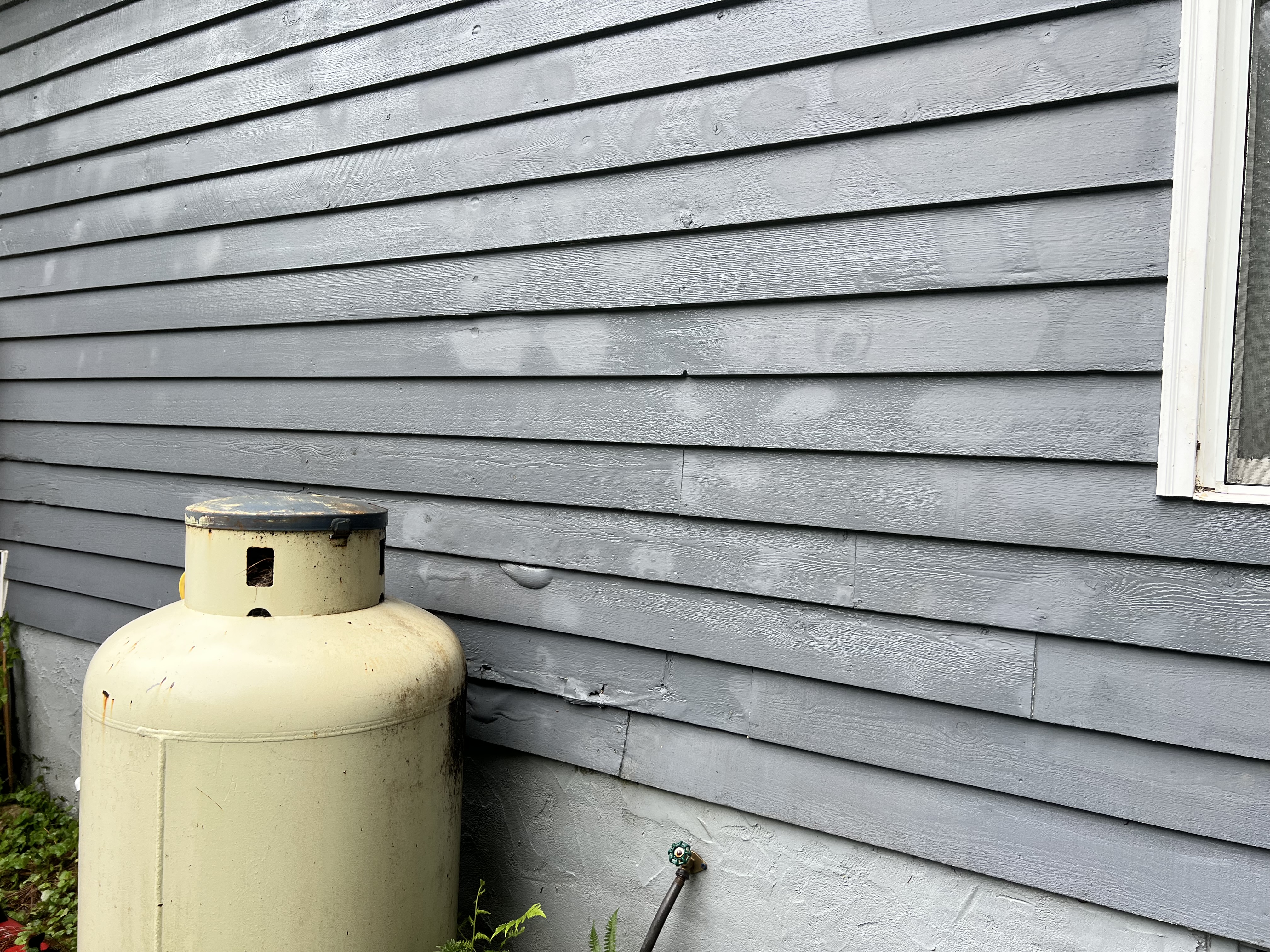 Before and after House Washing