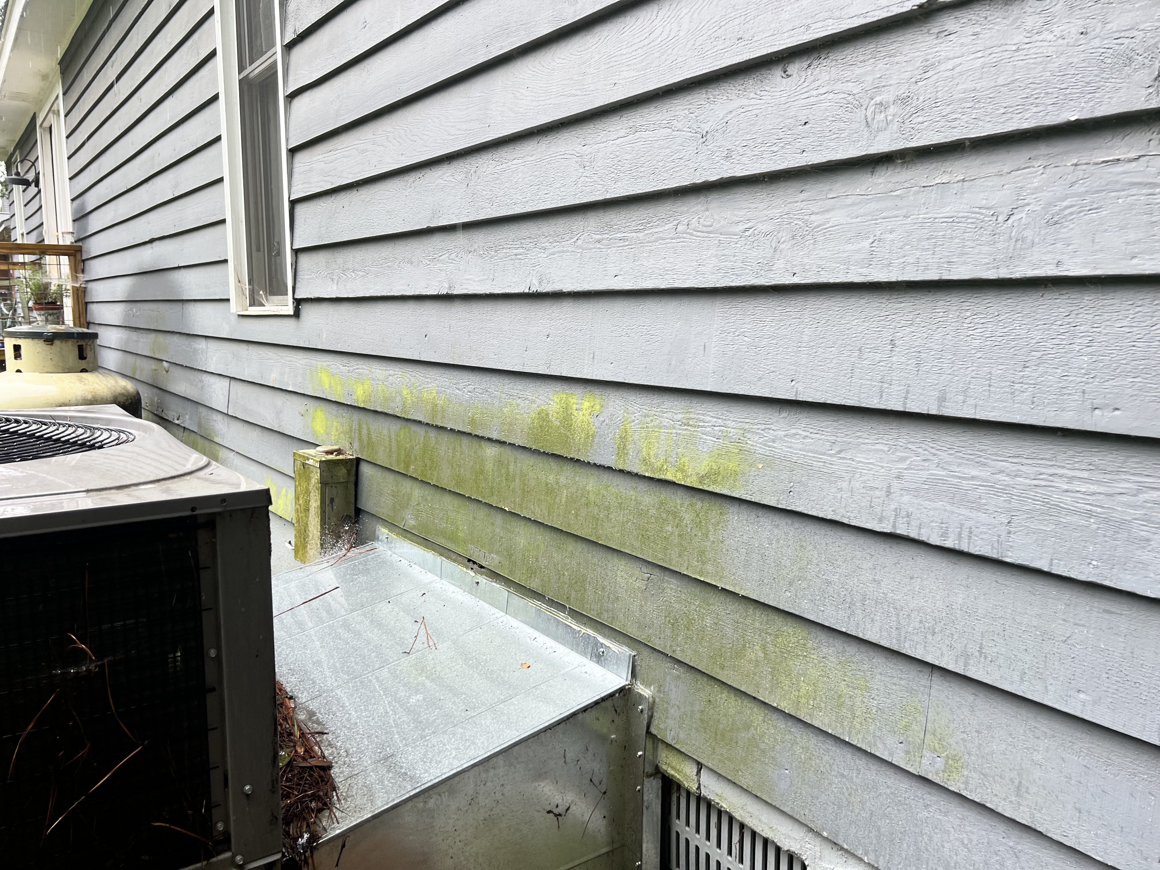 Before and after House Washing