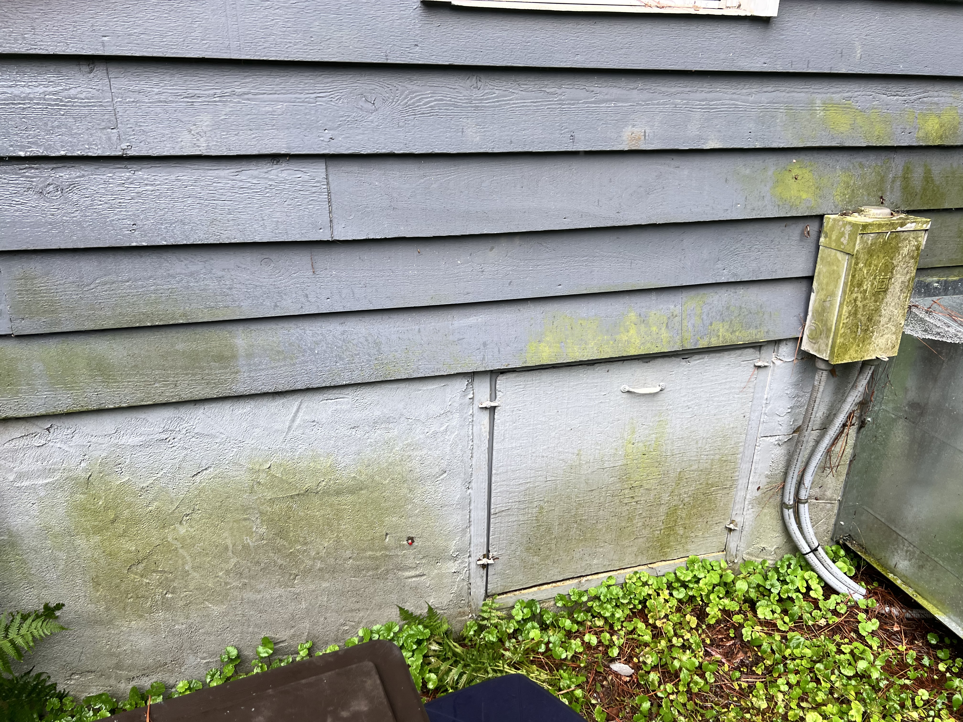 Before and after House Washing