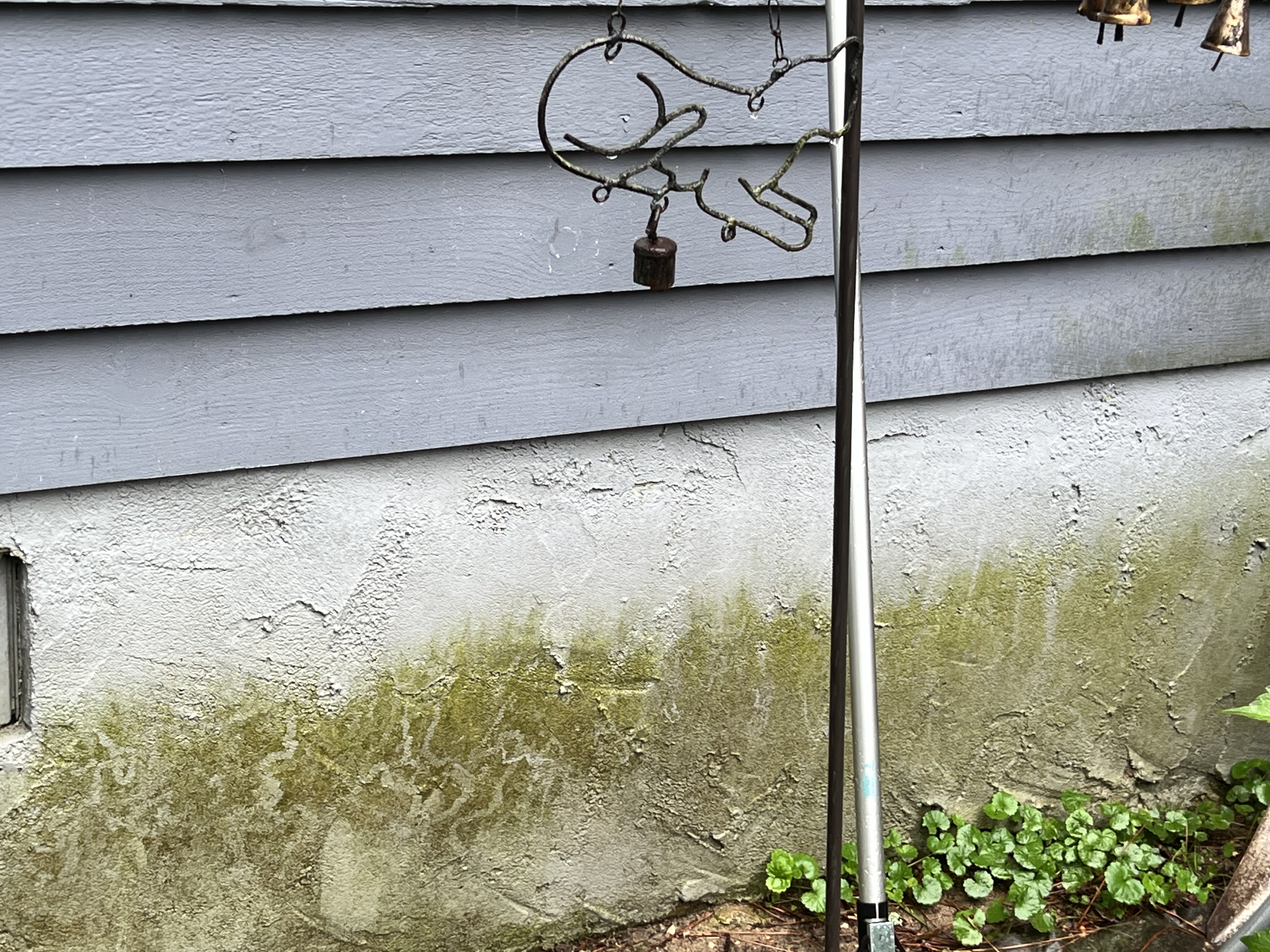 Before and after House Washing